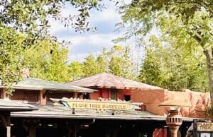 Flame Tree Barbecue Review - Animal Kingdom's Hidden Oasis