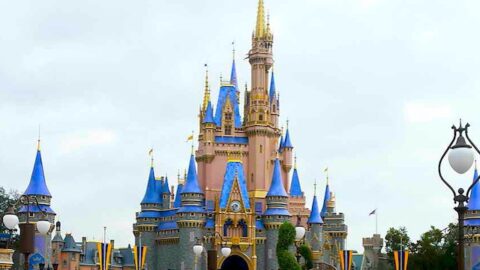 Part of Cinderella Castle is Now Closed Off for a Possible Refurbishment