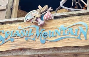 New invention points to increase in guest capacity and efficiency for water rides at Walt Disney World