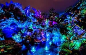 Check Out These Special Limited Time Experiences at Disney's Animal Kingdom