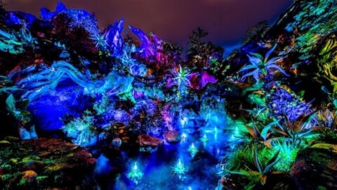 Check Out These Special Limited Time Experiences at Disney’s Animal Kingdom