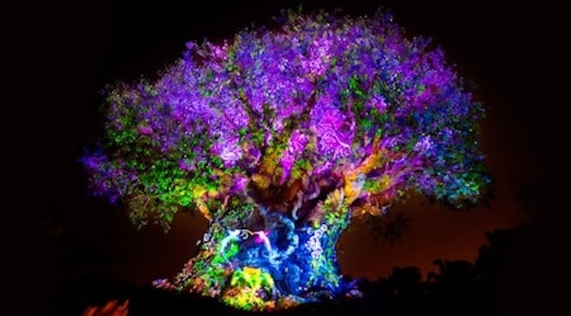 New Dividers in Animal Kingdom Drastically Cut Wait Times