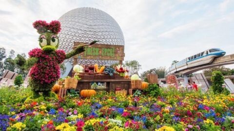 Park Passes Now Unavailable for All Disney World Parks on Select Dates