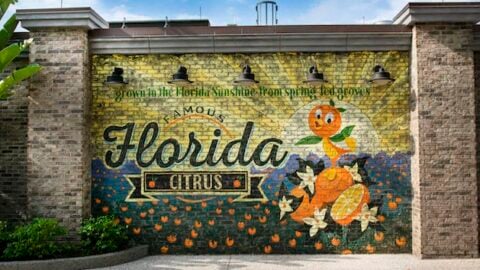 Florida Governor Vows to Ban Vaccine Passports. How will this affect Disney?