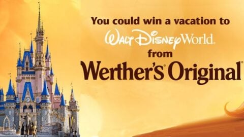 Now You Can Win a Trip to Walt Disney World Simply by Enjoying Candy