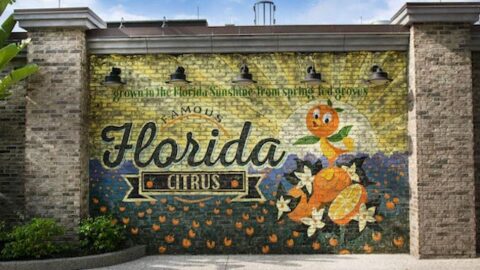 Walt Disney World is Now Sharing More Than Just Magic with Central Florida