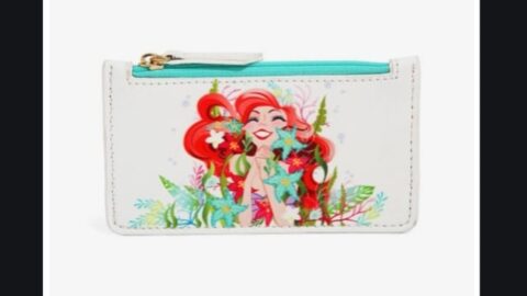 Box Lunch Pulls New Ariel Bag Amid Accusations of Plagiarism