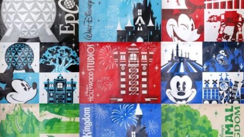 Need to purchase a reusable shopping bag from Disney World? It will now cost you more.