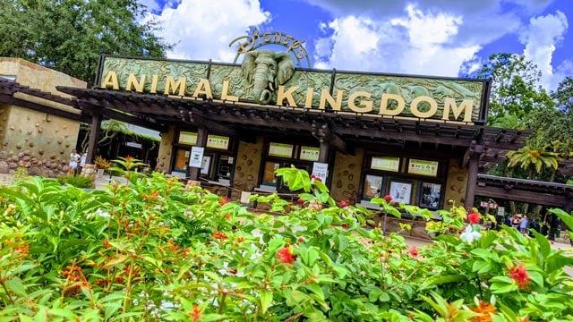 An Animal Kingdom attraction is now using a backstage queue