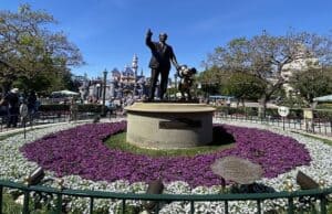 What it was like to visit Disneyland on reopening day and meet Disney's CEO