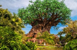 One of Disney World's most popular attractions is only running at half capacity