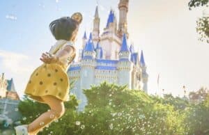 A Brand NEW Disney World Discount is now Available!