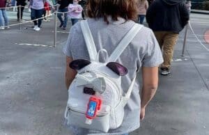 The Best Ways to Store Your Backpack on Rides at Theme Parks