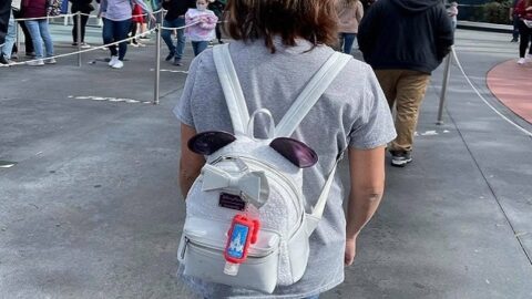 The Best Ways to Store Your Backpack on Rides at Theme Parks