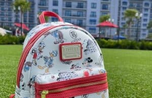 All the necessities you need in your Disney park bag this summer