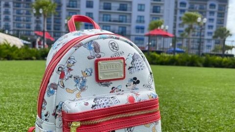 All the necessities you need in your Disney park bag this summer