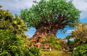 How to Spot Animal Kingdom's Hidden Characters