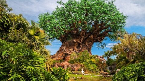 How to Spot Animal Kingdom’s Hidden Characters