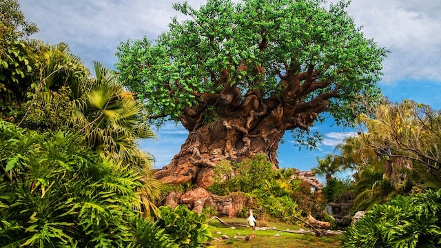 How to Spot Animal Kingdom's Hidden Characters