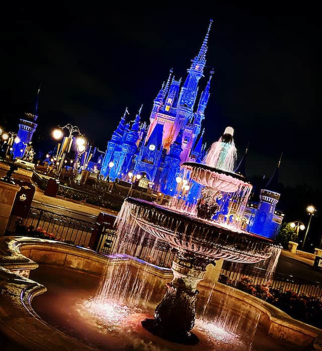 This image has an empty alt attribute; its file name is Vertical-Cinderella-Castle-.jpg