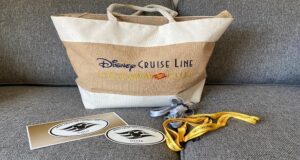The Many Benefits of Disney Cruise Line Membership Levels