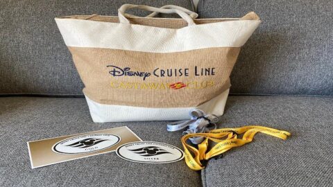 The Many Benefits of Disney Cruise Line Membership Levels