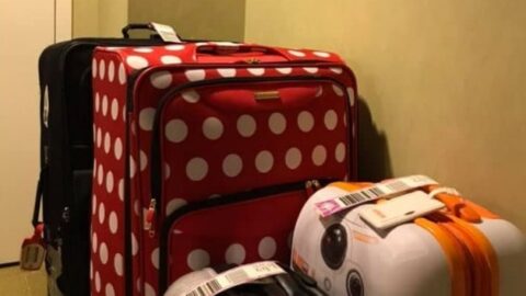 New Changes to Disney Resort Luggage Transfer Policy