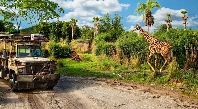 Photos: Kilimanjaro Safaris is being refurbished and something big is missing