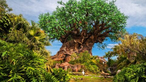 New Theme Park Hours and Extensions at Disney World