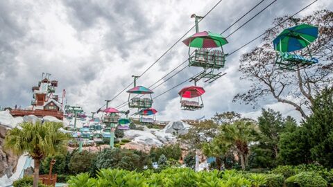 This fun recreational activity has returned to Walt Disney World