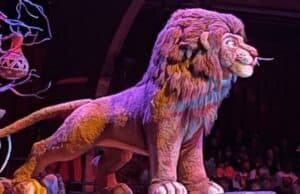 Is the new Celebration of the Festival of the Lion King a Celebration or a Disappointment?