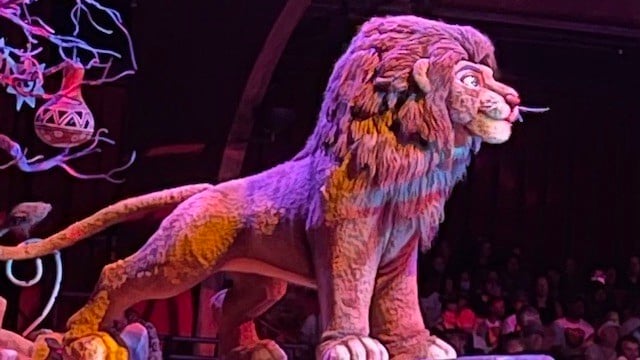Is the new Celebration of the Festival of the Lion King a Celebration or a Disappointment?
