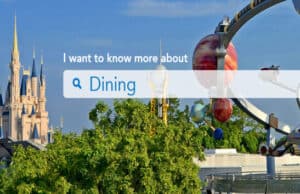 Mark your Calendars: PlanDisney is now adding new Panelists