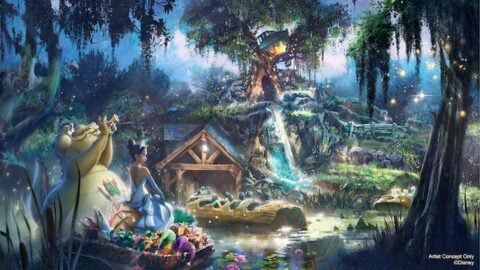 NEW: Details for Princess and the Frog Re-theme of Splash Mountain
