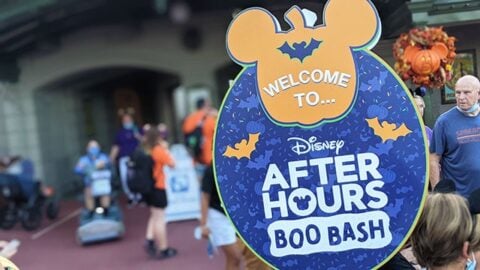 Review: Is Disney’s After Hours Boo Bash worth the price?