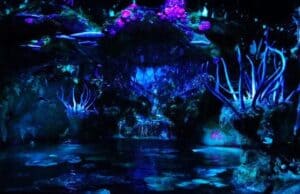 See the Na'vi River Journey Attraction Malfunction