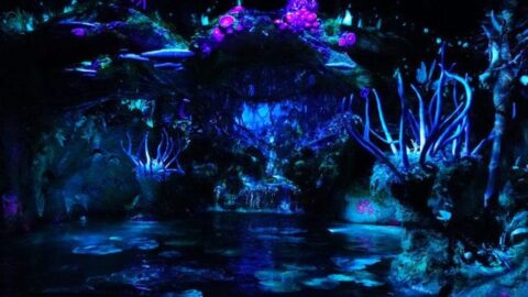 See the Na’vi River Journey Attraction Malfunction