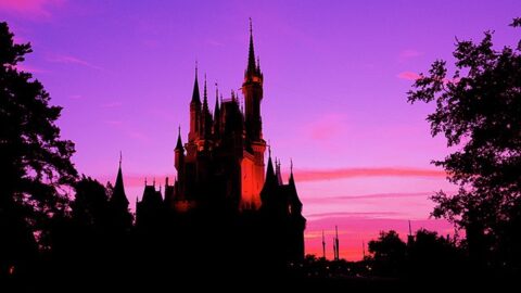 A look back at 50 years of Cinderella Castle