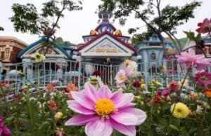 Another Disney Attraction to Receive Modern Update with New Backstory
