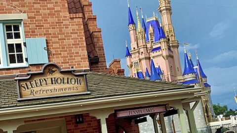 Disney Mobile Ordering Expanded to New Locations
