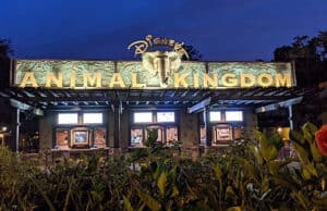 See How this Disney Quick Service's New Sponsorship Affects the Menu