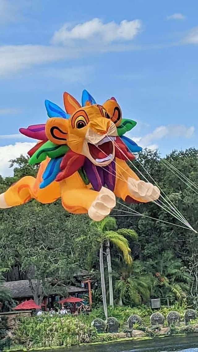 Everything You Need to know about Disney's New Kite Tails Show