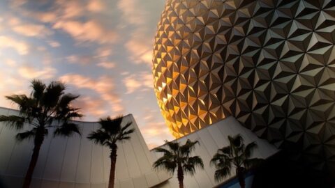 New sign debuts at EPCOT shop for its opening