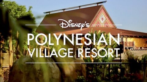 New Developments in Polynesian Monorail Refurbishment