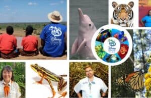 Disney Cast Members make 60 New Conservation Grants Possible