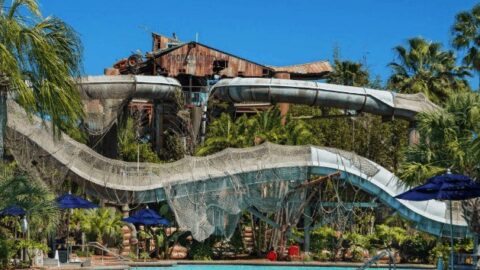 Is Typhoon Lagoon Preparing to Reopen at Disney World?