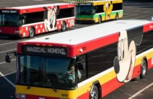 The Best Way to Get Around Disney Property