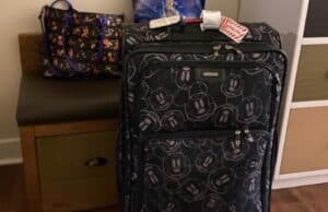 You can still get luggage delivery at Walt Disney World
