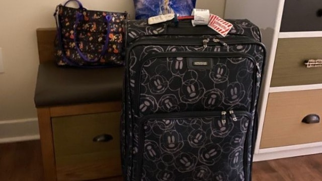 You can still get luggage delivery at Walt Disney World