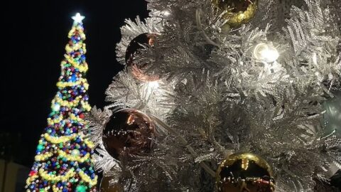 5 holiday treats you can’t miss at Disney World this year